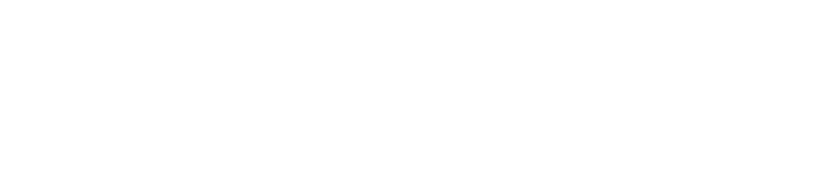 Playtech Slot logo